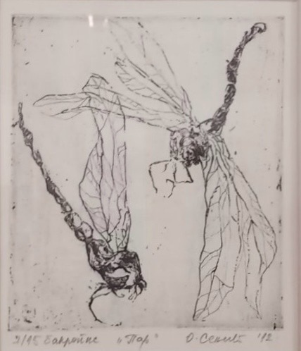 Vilin konjic, bakropis