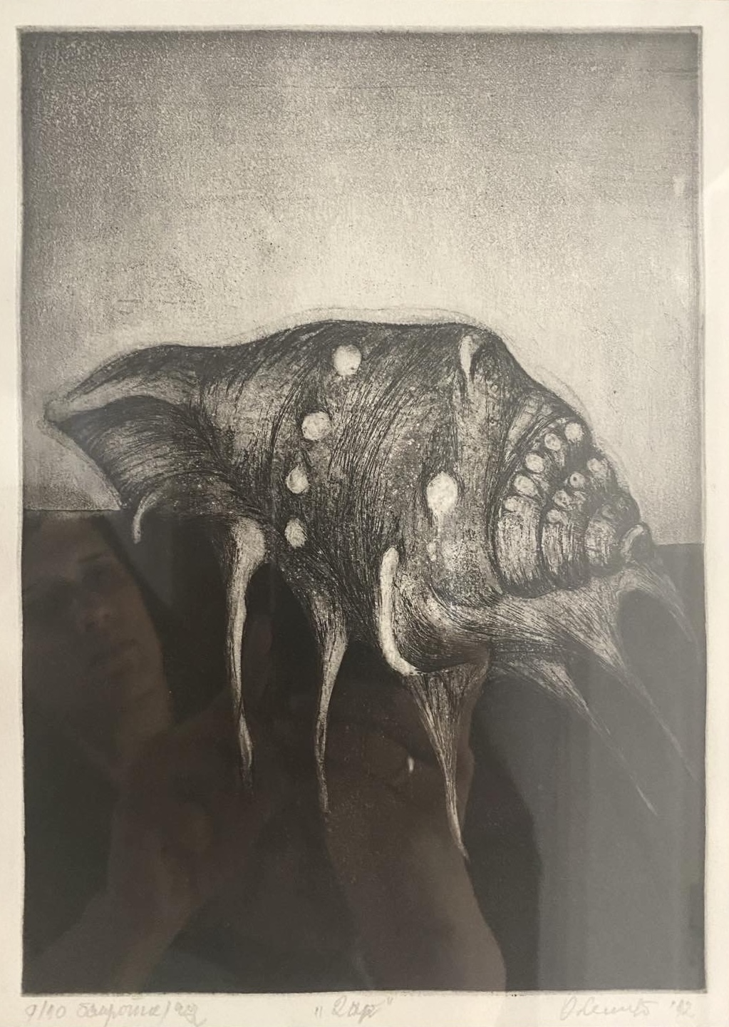 Skoljka, kombinovanje tehnika duboke štampe, bakropis&akvatinta