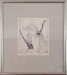 Vilin konjic ram, bakropis